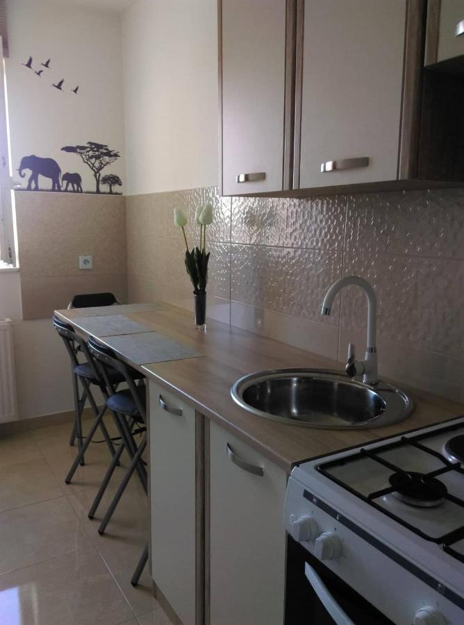 Studio Apartman Ždral Daruvar Bagian luar foto