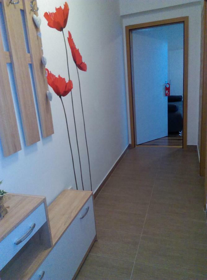 Studio Apartman Ždral Daruvar Bagian luar foto