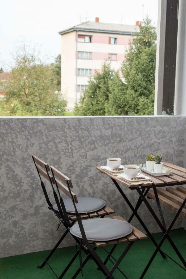Studio Apartman Ždral Daruvar Bagian luar foto
