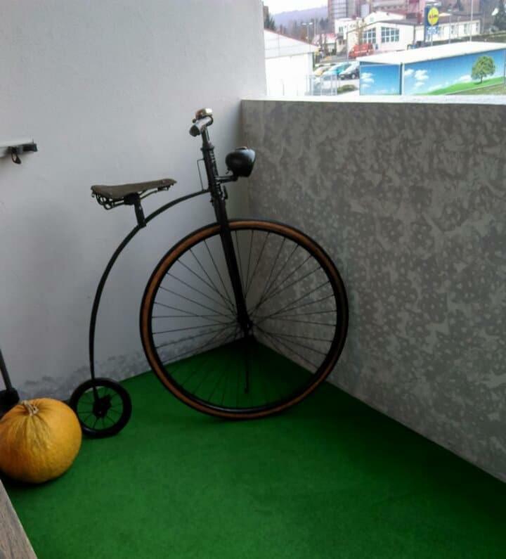 Studio Apartman Ždral Daruvar Bagian luar foto
