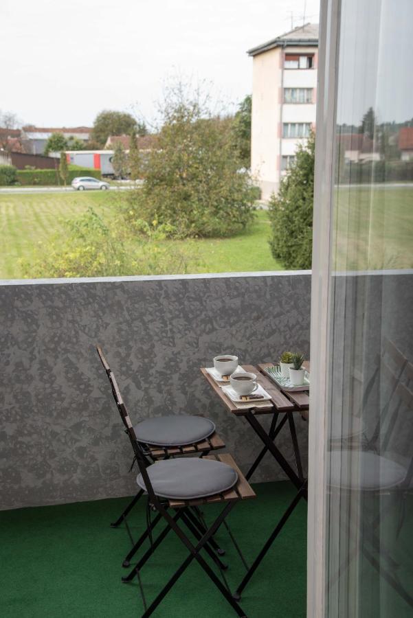 Studio Apartman Ždral Daruvar Bagian luar foto